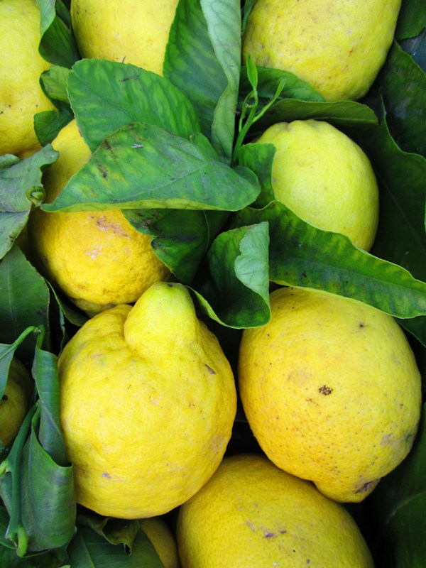 Limoni